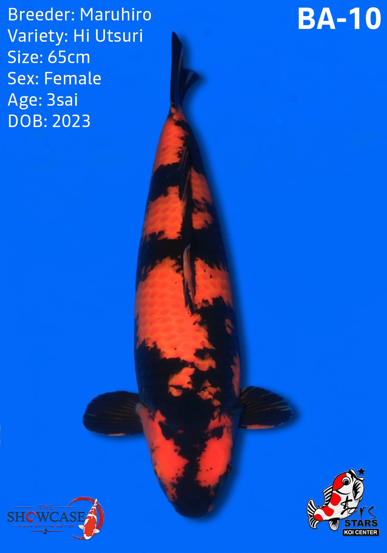 BA10